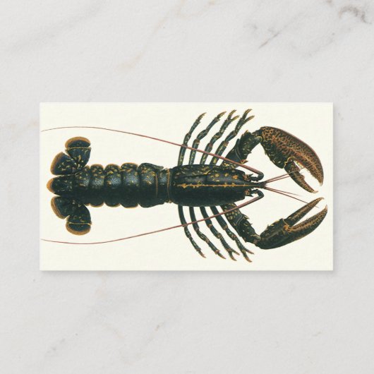 ヴィンテージロブスター、海洋海生命甲殻類 名刺 (裏面)