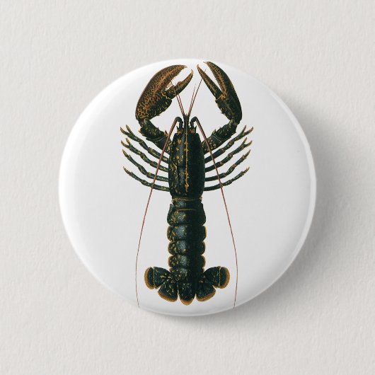 ヴィンテージロブスター、海洋海生命甲殻類 缶バッジ (正面)