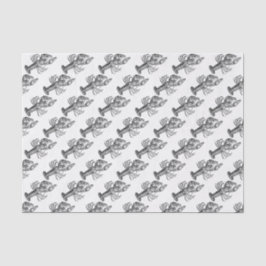 ヴィンテージロブスター#1スケッチ 薄葉紙