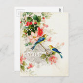 ヴィンテージロマンフランスのチックな鳥の静止 ポストカード (正面/裏面)