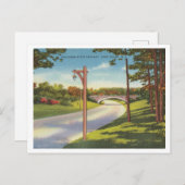 ヴィンテージロングアイランドニューヨークパークウェイ ポストカード (正面/裏面)