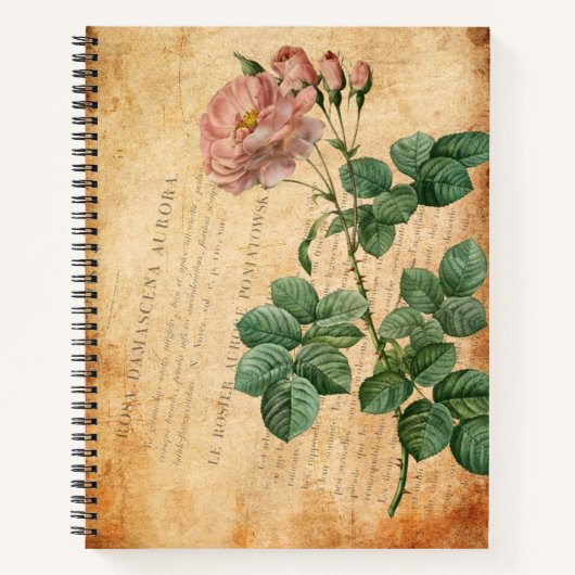 ヴィンテージローザダマスオーロラ ノートブック (正面)