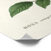 ヴィンテージローザフラワー ポスター (角)