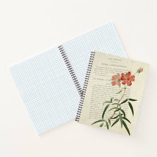 ヴィンテージローザロンギフォリア ノートブック (内部)
