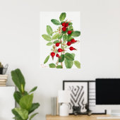 ヴィンテージローズヒップイラストレーション ポスター (ホームオフィス)