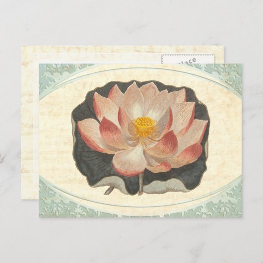 ヴィンテージロータスダマスクエレガントアンティーク植物学 ポストカード (正面/裏面)