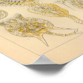 ヴィンテージロータリアカラーエルンストヘッケルプリント ポスター (角)