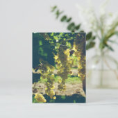 ヴィンテージワイナリーブドウ ポストカード (スタンド正面)