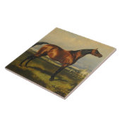 ヴィンテージワイルドウマズバイアルフレッド・デ・ドルー タイル (側面)