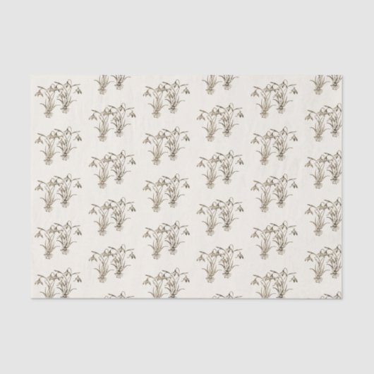 ヴィンテージワイルドスノードロップイラストレーションオンアイボリー 薄葉紙 (正面)