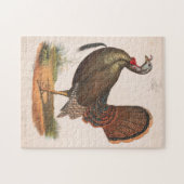 ヴィンテージワイルドトルコイラストレーション(1872) ジグソーパズル (横)