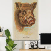 ヴィンテージワイルドボアイラストレーション(1888) ポスター (ホームオフィス)