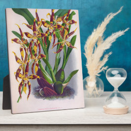 ヴィンテージワイン&イエローオーキッドオドントグロスサムクスピダ フォトプラーク