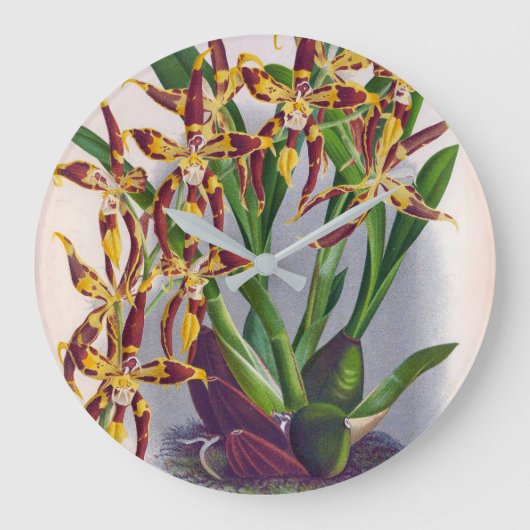 ヴィンテージワイン&イエローオーキッドオドントグロスサムクスピダ ラージ壁時計 (正面)