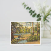 ヴィンテージワクルラ春フロリダ ポストカード (スタンド正面)