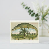 ヴィンテージワニ葉書 ポストカード (スタンド正面)