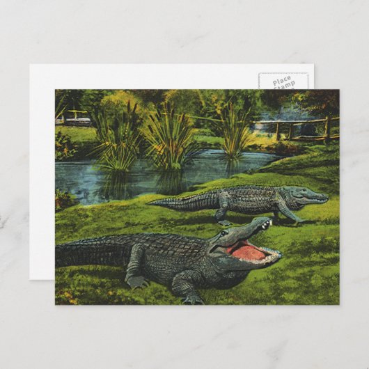 ヴィンテージワニ、海洋生物爬虫類動物 ポストカード (正面/裏面)
