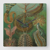 ヴィンテージワームズアンネリドズチェトポダ著エルンストヘッケル スクエア壁時計 (正面)