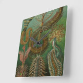 ヴィンテージワームズアンネリドズチェトポダ著エルンストヘッケル スクエア壁時計 (傾斜)