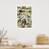 ヴィンテージ一九二二野生動物 ポスター (キッチン)