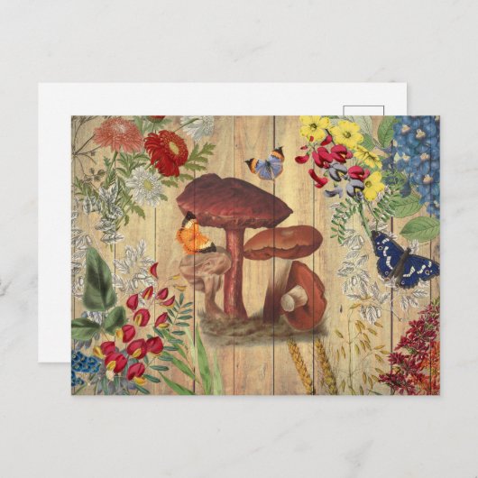 ヴィンテージ丁合いのきのこ葉書 ポストカード (正面/裏面)