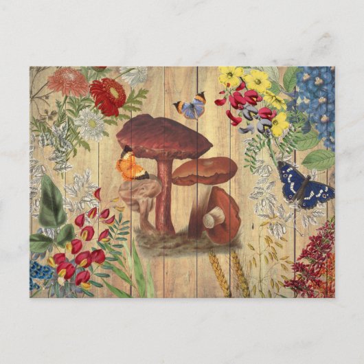 ヴィンテージ丁合いのきのこ葉書 ポストカード (正面)