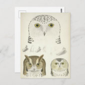 ヴィンテージ三輪イラストレーション ポストカード (正面/裏面)