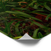 ヴィンテージ下着 ポスター (角)