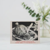 ヴィンテージ不気味な食料品はがき ポストカード (スタンド正面)