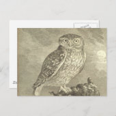 ヴィンテージ不気味スクリーチフクロウのハロウィングリーティングカード ポストカード (正面/裏面)