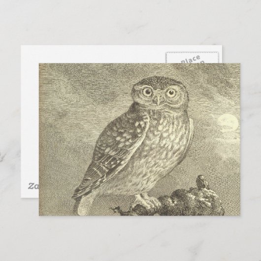 ヴィンテージ不気味スクリーチフクロウのハロウィングリーティングカード ポストカード (正面/裏面)