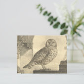 ヴィンテージ不気味ハロウィーンフクロウ葉書 ポストカード (スタンド正面)