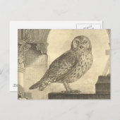 ヴィンテージ不気味ハロウィーンフクロウ葉書 ポストカード (正面/裏面)
