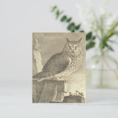 ヴィンテージ不気味長耳フクロウのハロウィン葉書 ポストカード (スタンド正面)