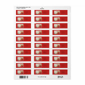 ヴィンテージ与えボーイからサンタサンダー_コーブへの手紙 ラベル (フルシート)