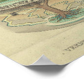 ヴィンテージ世界イラストレーション ポスター (角)