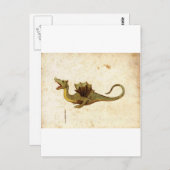 ヴィンテージ中世ドラゴンデザイン ポストカード (正面/裏面)