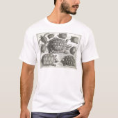 ヴィンテージ亀甲エッチング Tシャツ (正面)