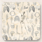 ヴィンテージ人体の解剖学的クリームマーフィルマーブル コースター (正面)