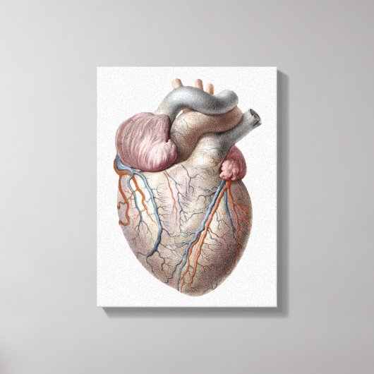 ヴィンテージ人体解剖学ハート器官ヘルシー キャンバスプリント (正面)