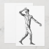 ヴィンテージ人体解剖学、男性の体筋肉 (正面/裏面)