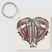 ヴィンテージ人体解剖学 科学、眼球 目 キーホルダー (正面)