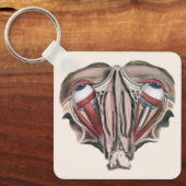 ヴィンテージ人体解剖学 科学、眼球 目 キーホルダー (正面)