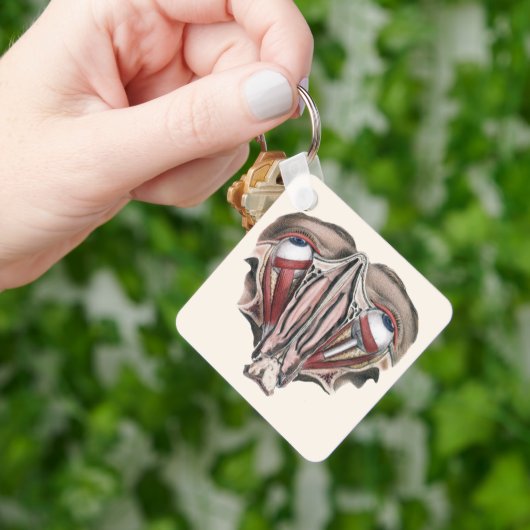 ヴィンテージ人体解剖学 科学、眼球 目 キーホルダー (手)