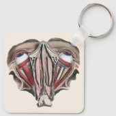 ヴィンテージ人体解剖学 科学、眼球 目 キーホルダー (裏面)