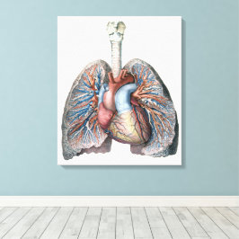 ヴィンテージ人体解剖学 肺 心臓 器官 血液 キャンバスプリント