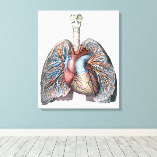 ヴィンテージ人体解剖学 肺 心臓 器官 血液 キャンバスプリント (インサイチュ (ウッドフロア))