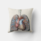 ヴィンテージ人体解剖学 肺 心臓 器官 血液 クッション (裏面)