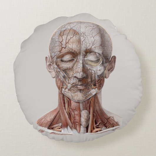 ヴィンテージ人体解剖学、頭のど鼻 ラウンドクッション (裏面)