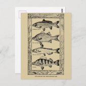 ヴィンテージ人気がある淡水魚(Louis Rhead) ポストカード (正面/裏面)